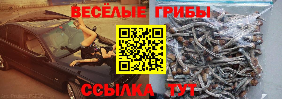 Псилоцибиновые грибы GOLDEN TEACHER  Вход с VPN  Алатырь 