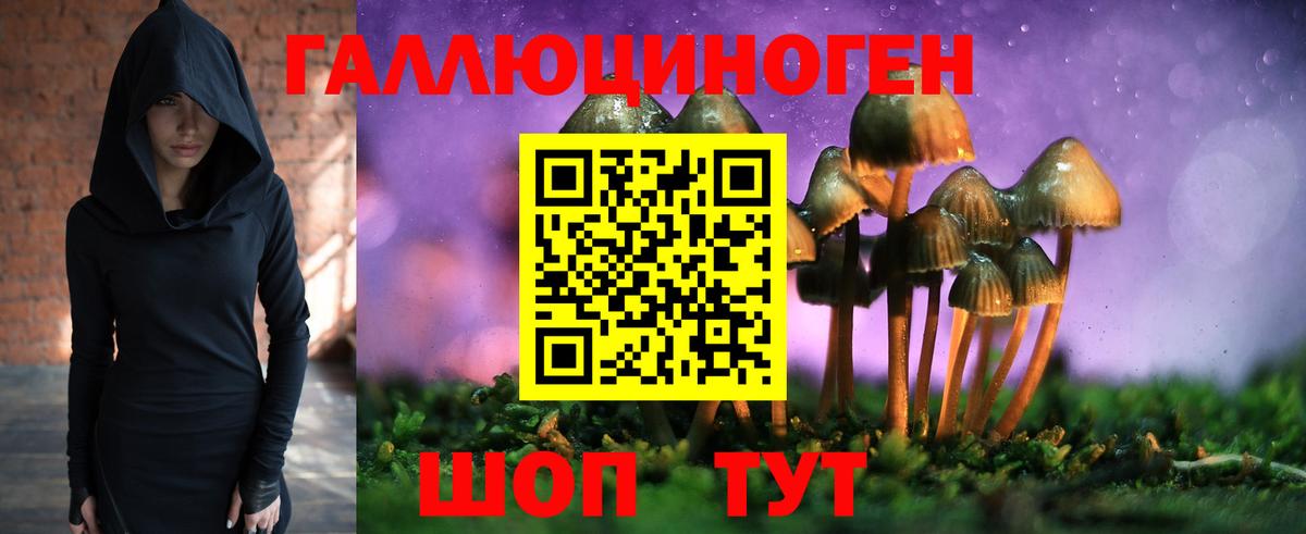 Псилоцибиновые грибы MAGIC MUSHROOMS Алатырь